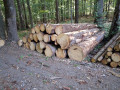 img-20260818-wa0015.jpg