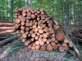 img-20260818-wa0019.jpg