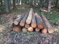 img-20260818-wa0020.jpg