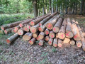 img-20260818-wa0018.jpg