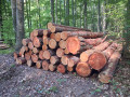 img-20260818-wa0022.jpg