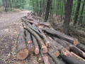 img-20260818-wa0003.jpg