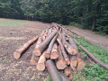 img-20260818-wa0002.jpg