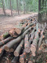 img-20260818-wa0001.jpg