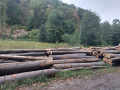 img-20260819-wa0010.jpg