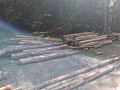 img-20260819-wa0003.jpg