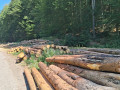 img-20260819-wa0004.jpg