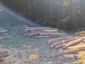 img-20260819-wa0006.jpg