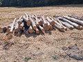 img-20260820-wa0015.jpg