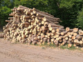 img-20260820-wa0018.jpg