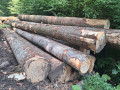 img-20260824-wa0025.jpg