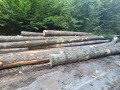 img-20260824-wa0026.jpg