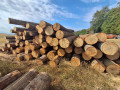 img-20260824-wa0011.jpg
