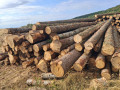 img-20260824-wa0012.jpg