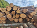 img-20260824-wa0010.jpg