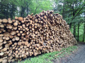 img-20260824-wa0002.jpg