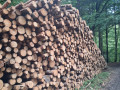 img-20260824-wa0003.jpg