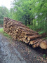 img-20260824-wa0004.jpg