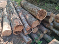 img-20260810-wa0012_1.jpg