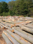 img-20260825-wa0008.jpg