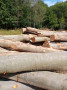 img-20260825-wa0007.jpg