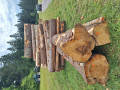 20260826_142646.jpg