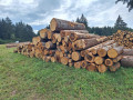 20260826_142653.jpg