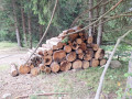 20260826_143338.jpg