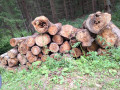20260826_144729.jpg