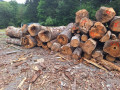 20260826_151033.jpg