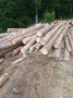 img-20260826-wa0050.jpg