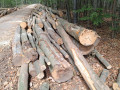 img-20260828-wa0017.jpg