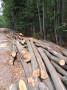 img-20260828-wa0019.jpg