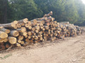 img-20260828-wa0025.jpg