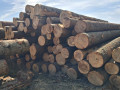 img-20260829-wa0006.jpg