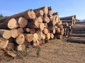img-20260829-wa0007.jpg