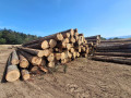 img-20260829-wa0005.jpg