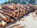 img-20260901-wa0000.jpg