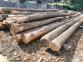 img-20260901-wa0002.jpg