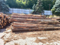 img-20260901-wa0004.jpg