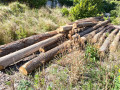 img-20260901-wa0006.jpg