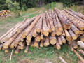 11_vlaknina_2.jpg