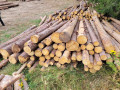12_vlaknina_3.jpg
