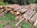 14_vlaknina_2.jpg