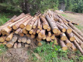 14_vlaknina_3.jpg