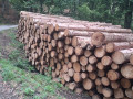 img-20260904-wa0002.jpg