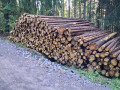 img-20260904-wa0009.jpg