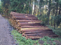 img-20260904-wa0008.jpg