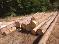 img-20260904-wa0028.jpg