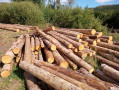 img-20260904-wa0020.jpg